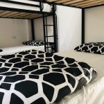 c725ddd0c6f54bd3ba2019ab88b8154e